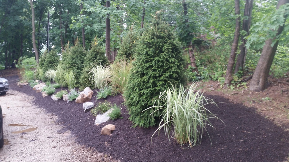 Backyard planting by Z.O. Landscaping - Photo 9