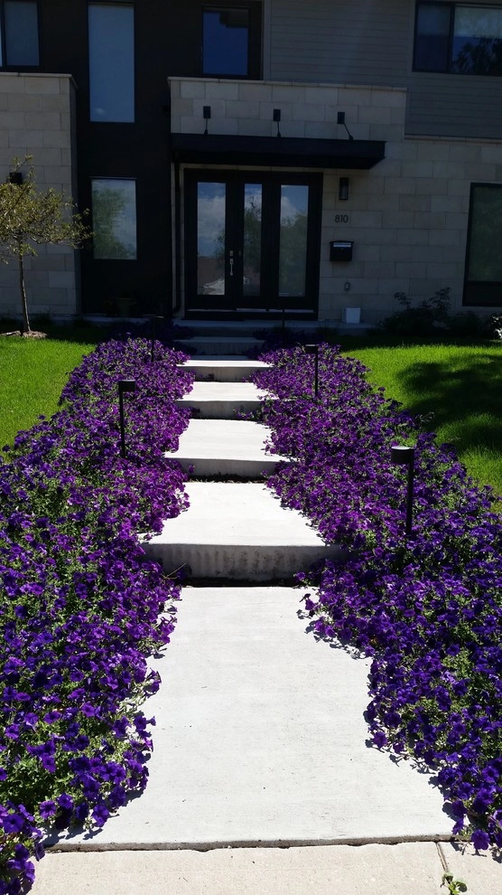 Hale Neighborhood by Bloom Concrete & Landscape Design - Photo 9