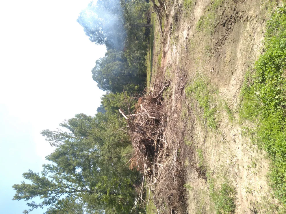 Excavation and Dozer Projects by Delta Construction & Remodeling, LLC - Photo 11