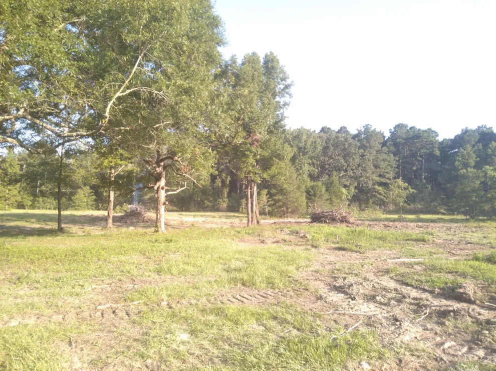 Excavation and Dozer Projects by Delta Construction & Remodeling, LLC - Photo 66