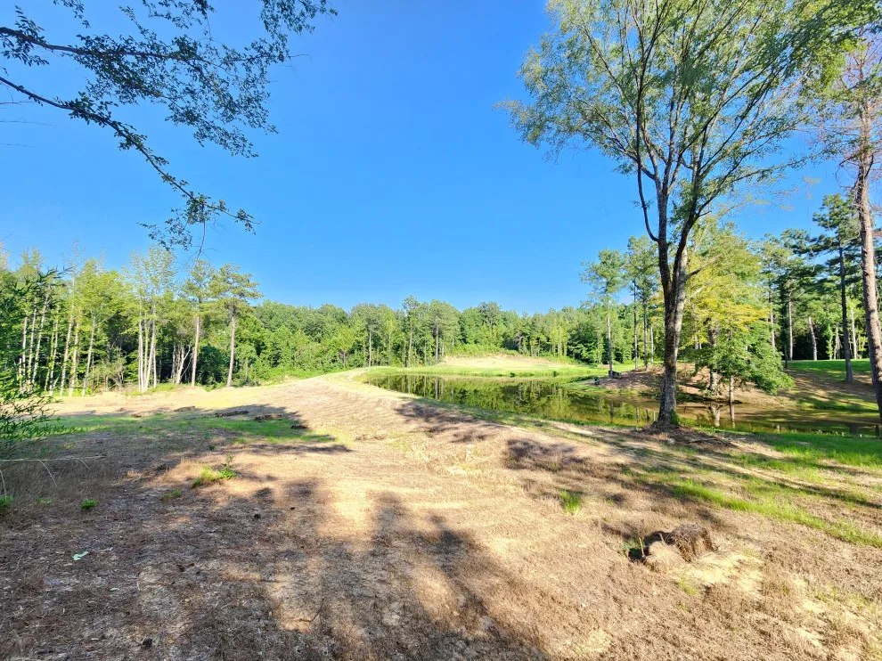 Excavation and Dozer Projects by Delta Construction & Remodeling, LLC - Photo 94