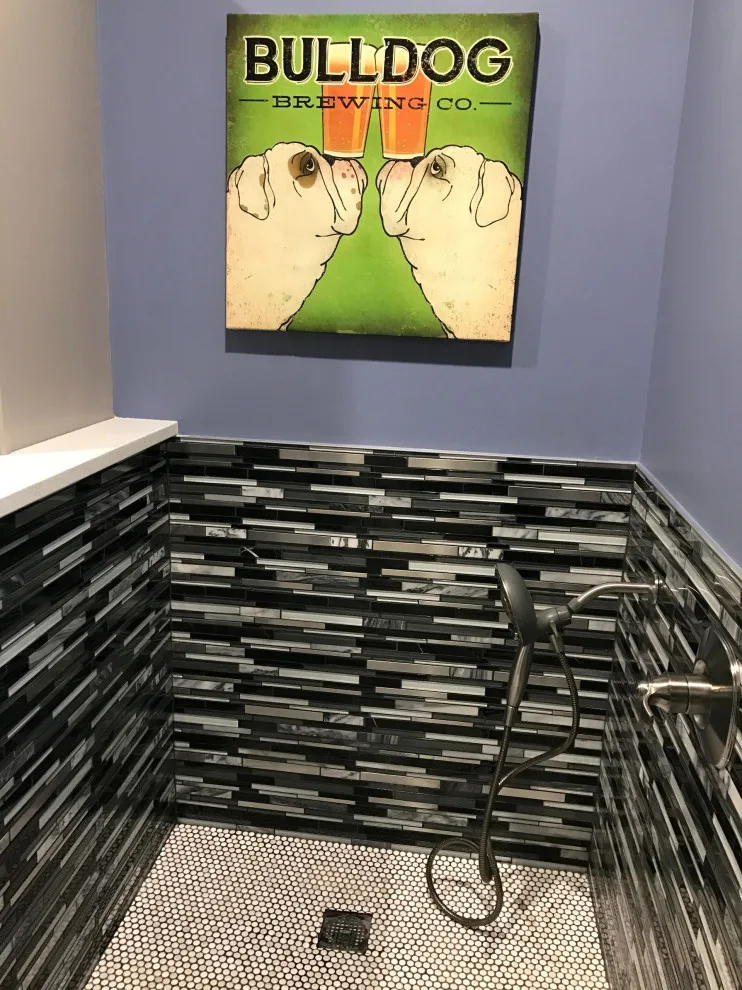 Home Remodeling Showcase Tour 2017 by Dana Build And Design - Photo 19