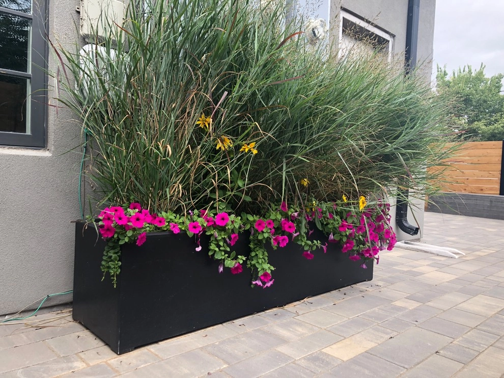 Baker by Bloom Concrete & Landscape Design - Photo 4