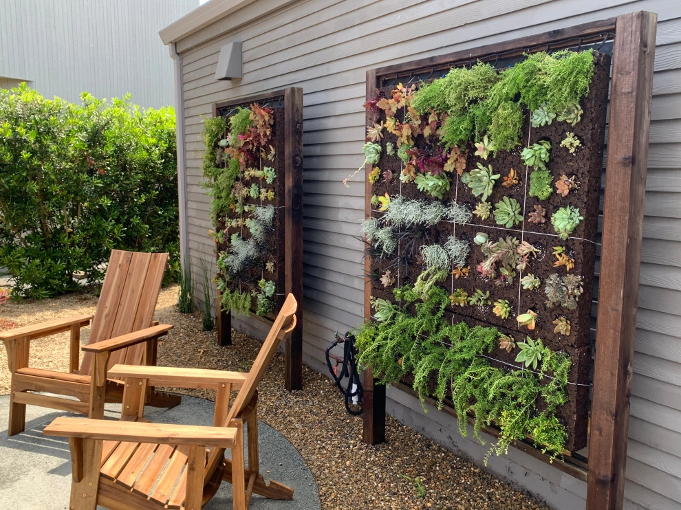Bodega Bay meets Palm Springs by Zenful Gardens - Photo 3