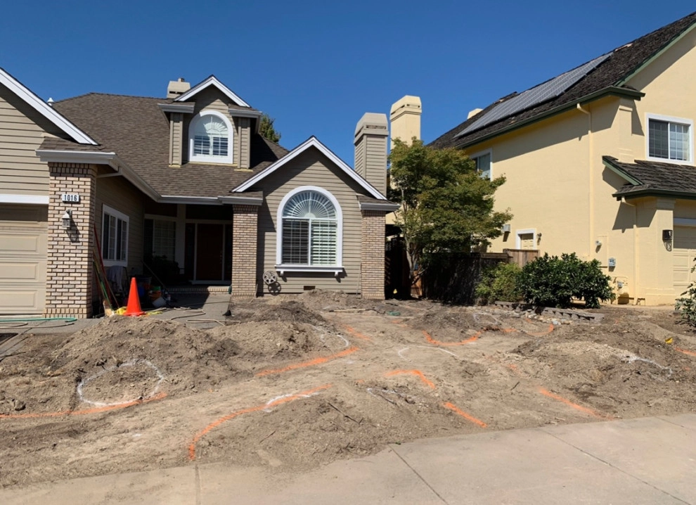 The Windsor Project by Zenful Gardens - Photo 2