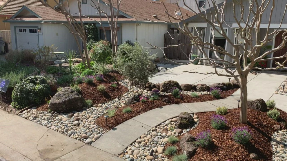 Davis, Ca by Zenful Gardens - Photo 5