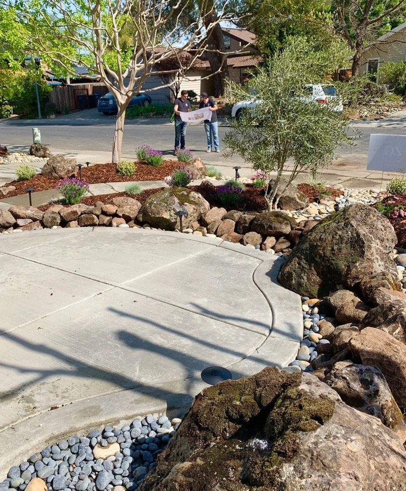 Davis, Ca by Zenful Gardens - Photo 4