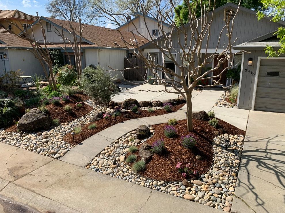 Davis, Ca by Zenful Gardens - Photo 2