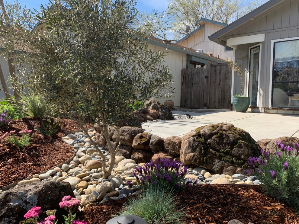 Zenful Gardens - Photo 7