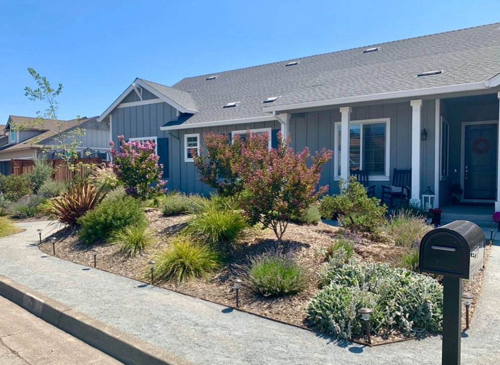 Fire Rebuild by Zenful Gardens - Photo 3