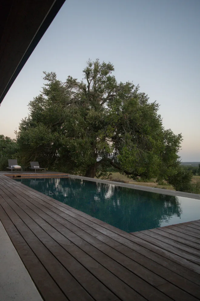 Enrique's Project by Blue Horse Building & Design - Photo 9