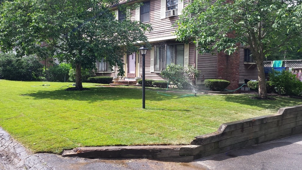 Pembroke Sod by 1-877-lawn-crew - Photo 4