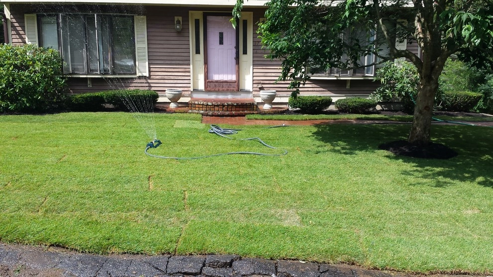 Pembroke Sod by 1-877-lawn-crew - Photo 6