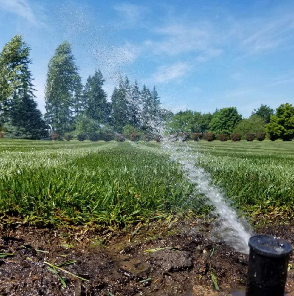 Sod Installation & Sprinkler System by 4 Seasons Landscaping, LLC - Photo 3