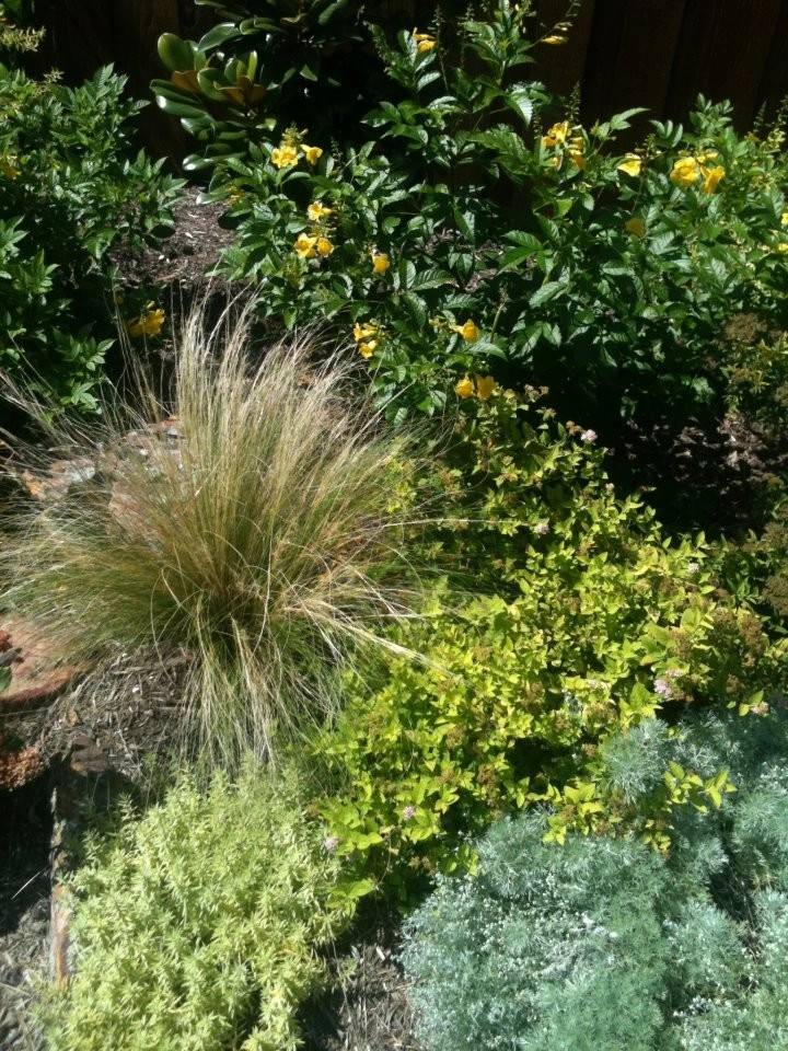 Brumley Gardens - Photo 12