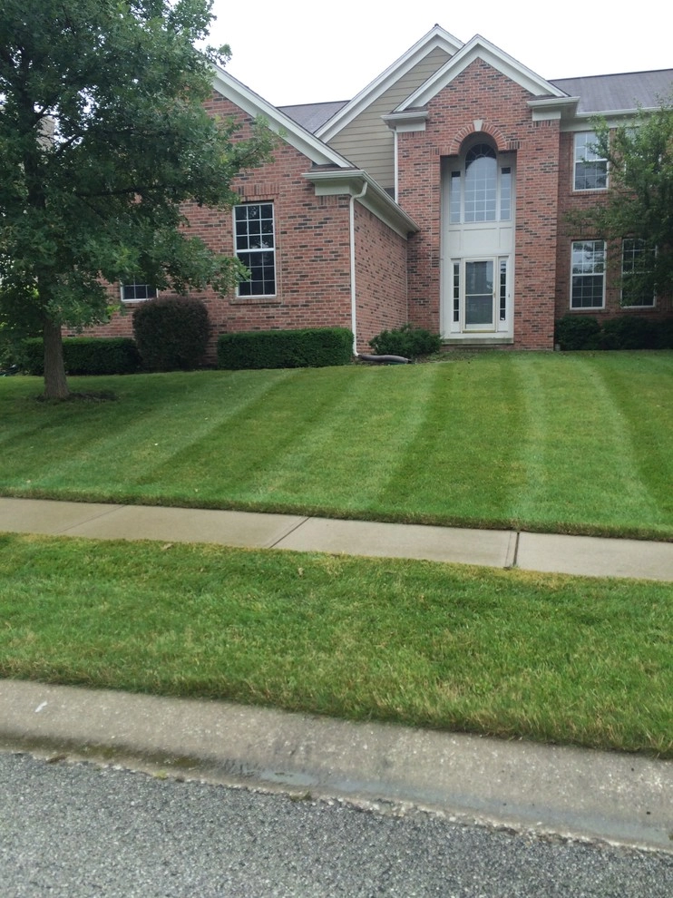A Classic Cut Lawn Care - Photo 9