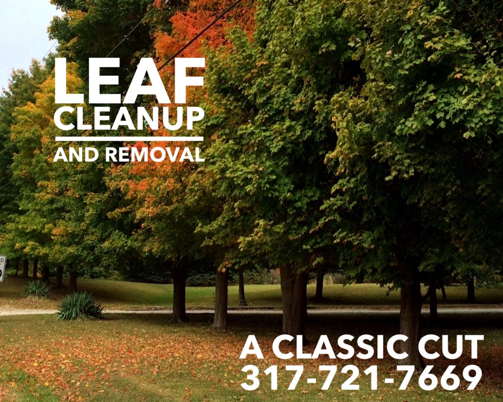 Leaf Clean Up by A Classic Cut Lawn Care - Photo 3