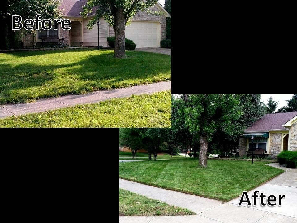 Weekly Lawn Maintenance by A Classic Cut Lawn Care - Photo 3
