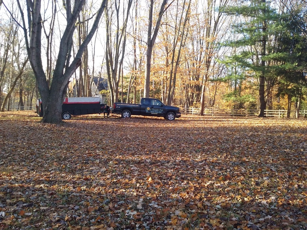 A Classic Cut Lawn Care - Photo 8