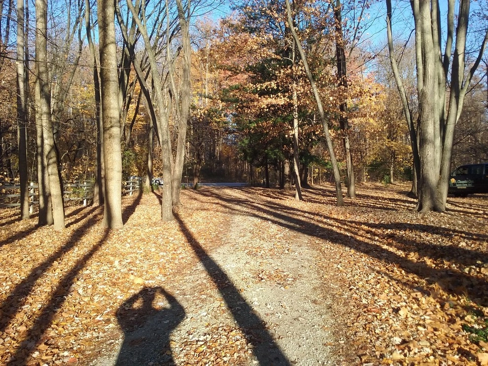 Leaf Removal by A Classic Cut Lawn Care - Photo 3