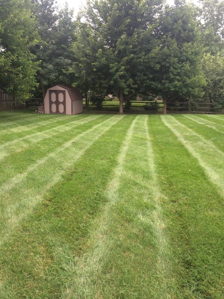 Weekly Lawn Maintenance by A Classic Cut Lawn Care - Photo 7