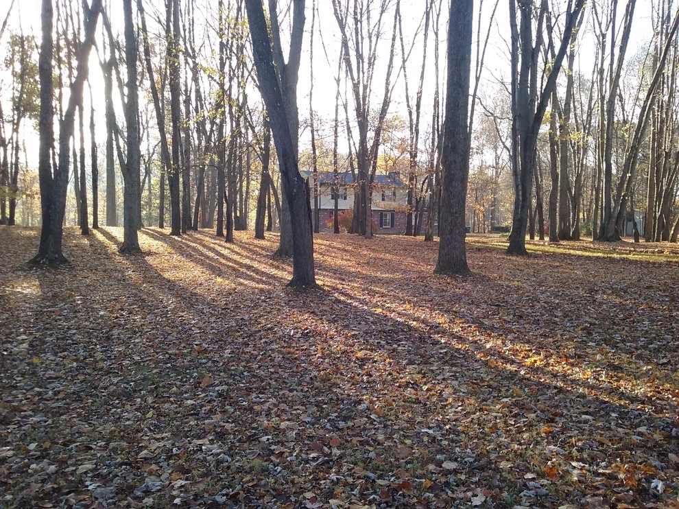 A Classic Cut Lawn Care - Photo 3