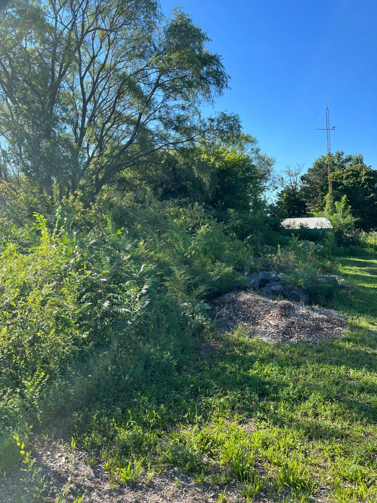 Brush and Overgrowth Clearing - Large Lot Clearing by A+ Equipment Services And Excavation - Photo 3