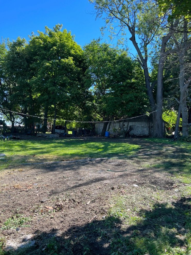 Brush and Overgrowth Clearing - Large Lot Clearing by A+ Equipment Services And Excavation - Photo 4