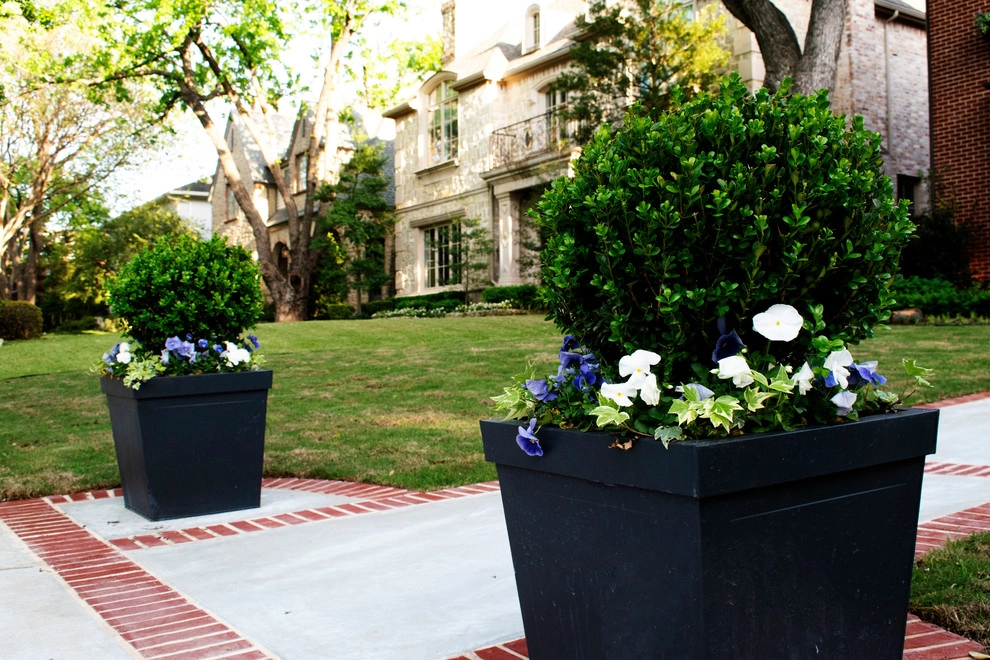 TRADITIONAL/TRANSITIONAL FRONT YARD by Blount Designs - Photo 7