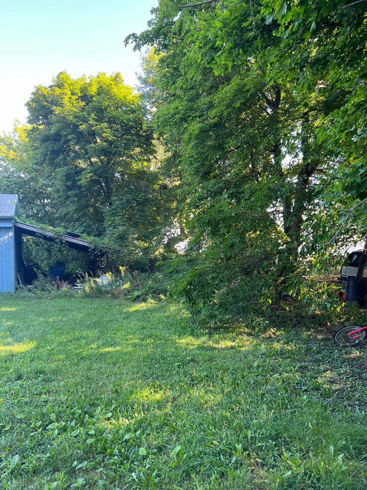 Brush and Overgrowth Clearing - Large Lot Clearing by A+ Equipment Services And Excavation - Photo 7