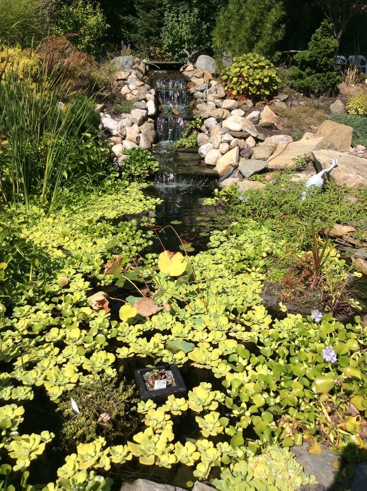 A. Esposito Landscaping And Nursery - Photo 9
