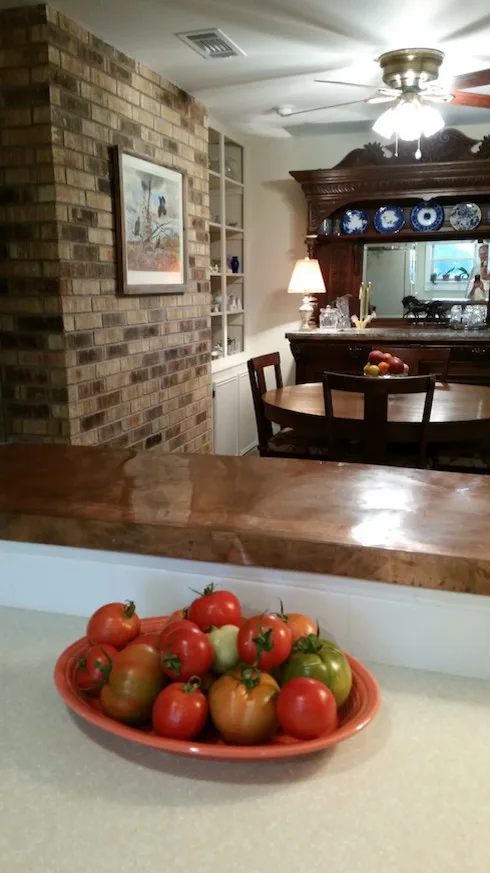 Fayetteville New Development by Sid Stephenson Homes - Photo 4