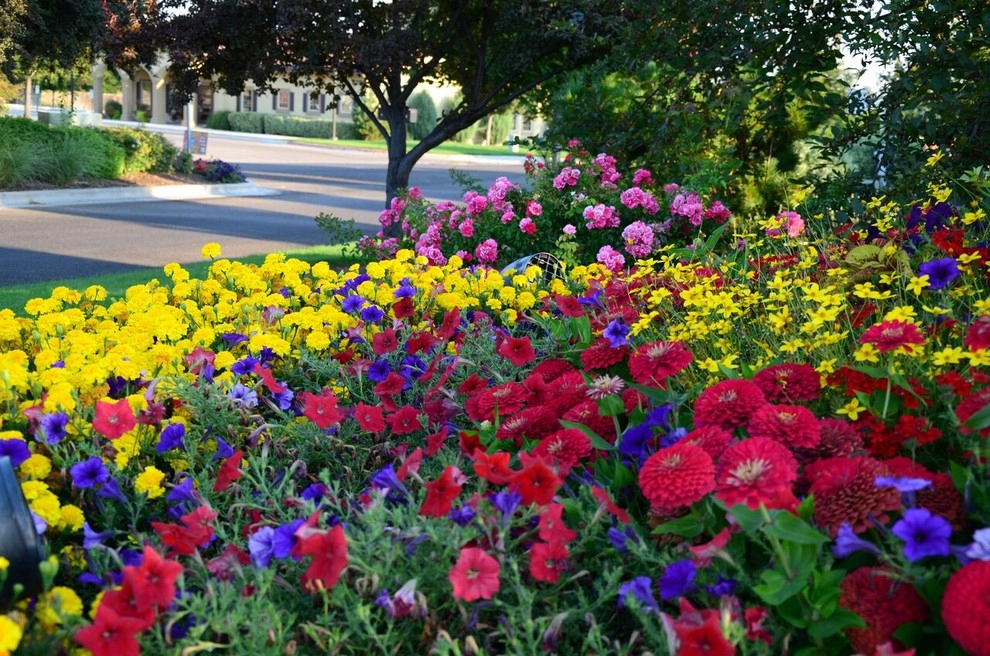 A To Z Sprinklers & Landscape, Inc. - Photo 2