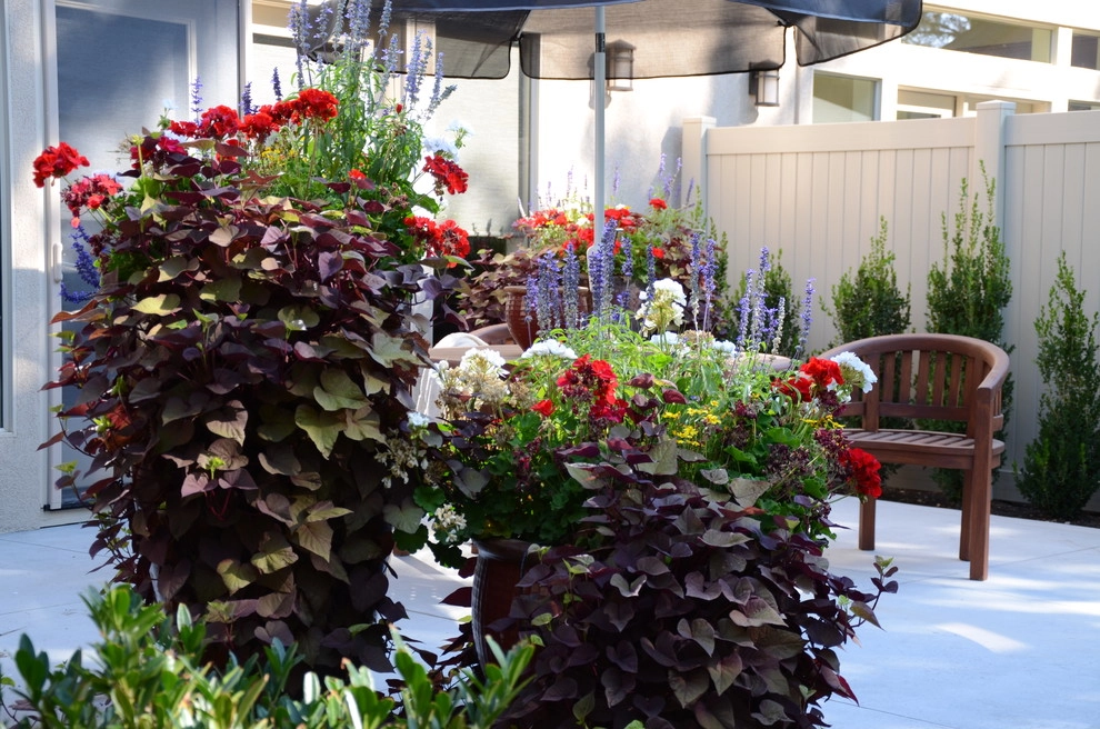 Containers by A To Z Sprinklers & Landscape, Inc. - Photo 4