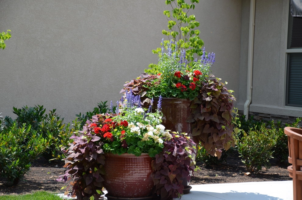 Containers by A To Z Sprinklers & Landscape, Inc. - Photo 6
