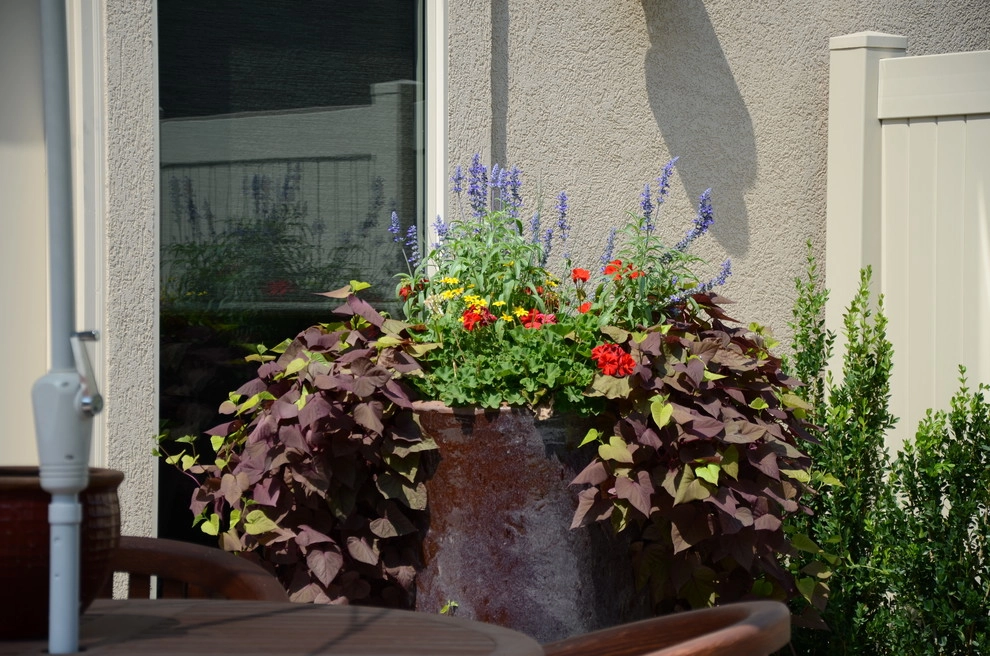 Containers by A To Z Sprinklers & Landscape, Inc. - Photo 2