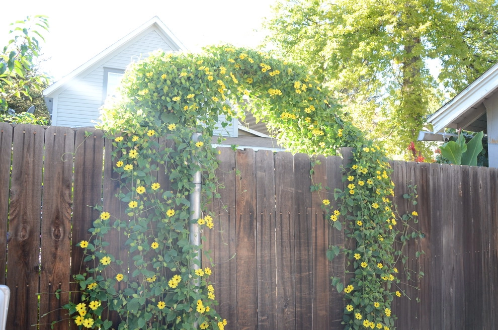 Landscape Choices by A To Z Sprinklers & Landscape, Inc. - Photo 12
