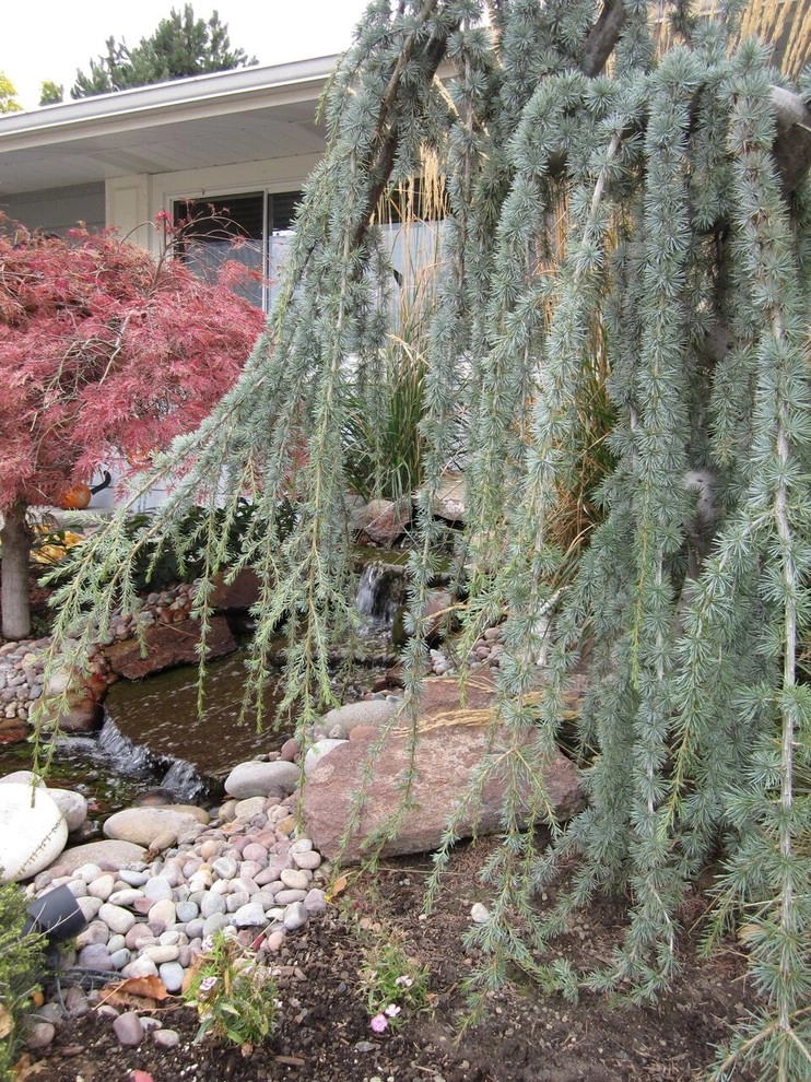 Our Collection by A To Z Sprinklers & Landscape, Inc. - Photo 3