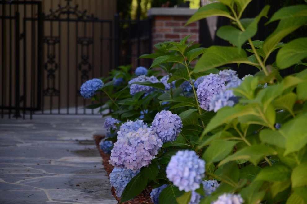 A To Z Sprinklers & Landscape, Inc. - Photo 8