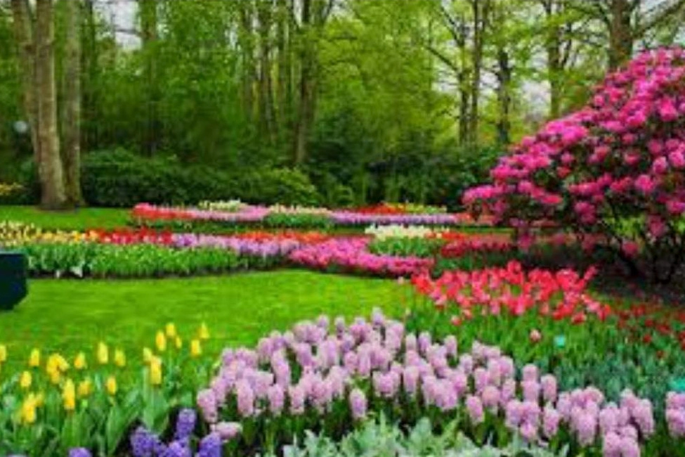 Accurate Landscape And Plowing LLC - Photo 7