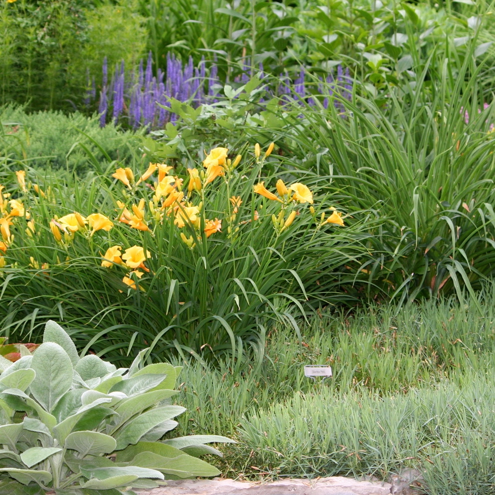 Garden Design Ideas by Acer Landscape Services - Photo 6