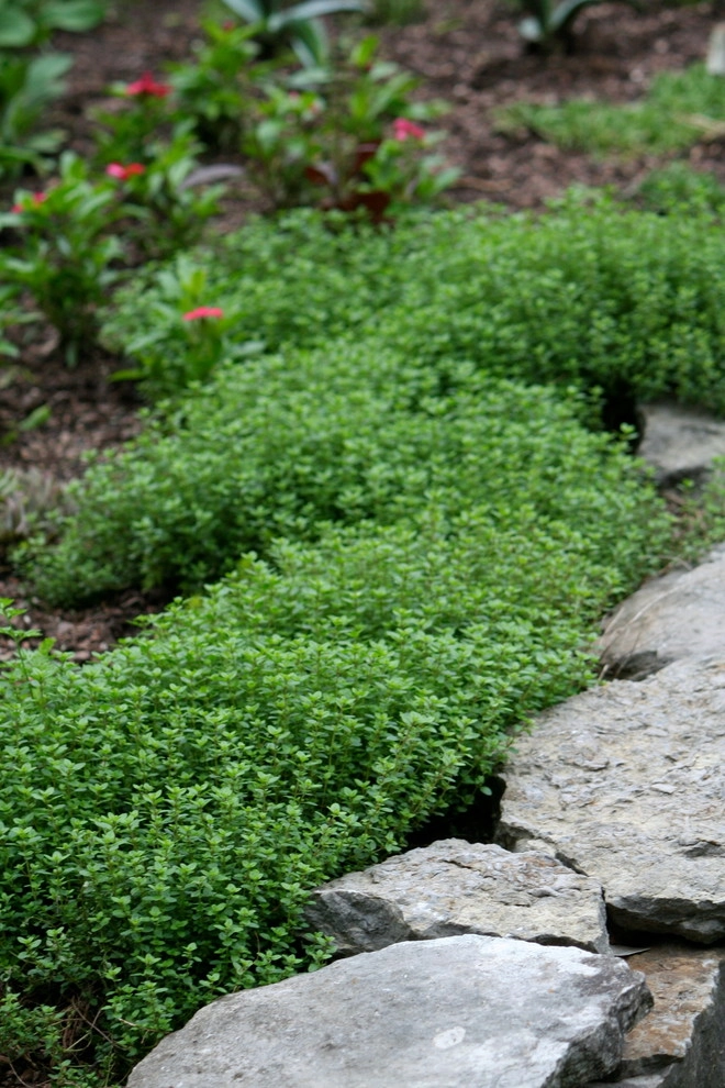 Acer Landscape Services - Photo 14