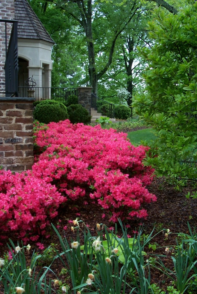 Garden Design Ideas by Acer Landscape Services - Photo 8