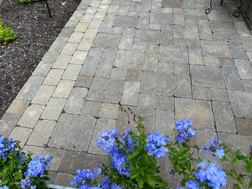 Action Landscaping Projects by Action Landscaping Inc - Photo 10