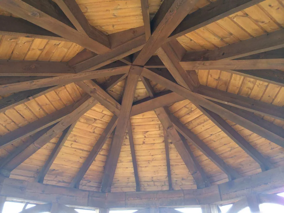 Blooms by DeVos Builders - Photo 3