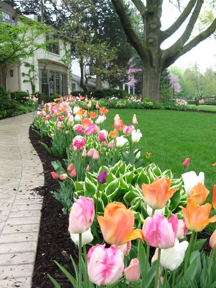 Mary & Doug by Aesthetics, Inc. - Photo 3
