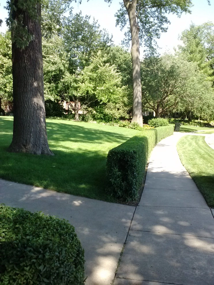 Pat and Max Maintenance by Aesthetics, Inc. - Photo 11