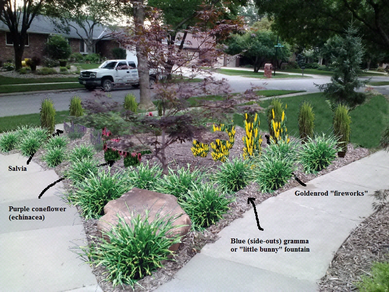 Mary and Terry Planting Project by Aesthetics, Inc. - Photo 11
