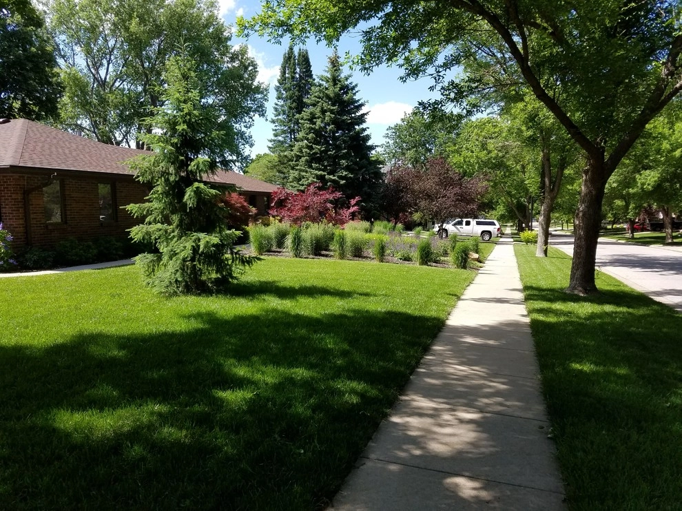 Mary and Terry Planting Project by Aesthetics, Inc. - Photo 12