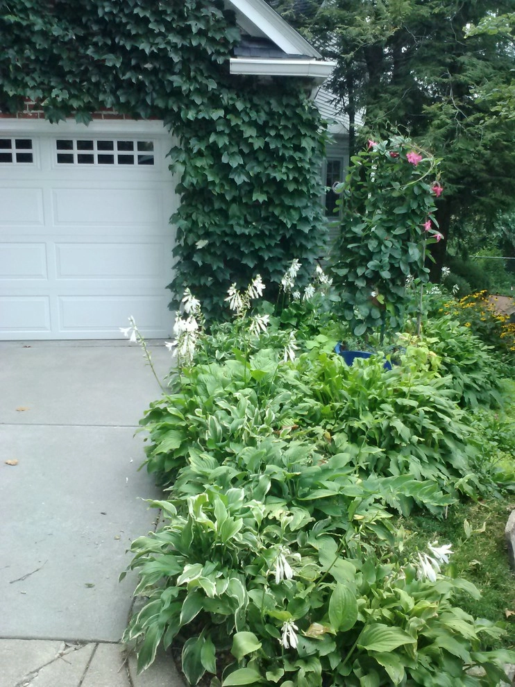 Aesthetics, Inc. - Photo 14